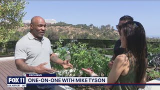 Mike Tyson speaks on launching cannabis company 'Tyson Ranch'