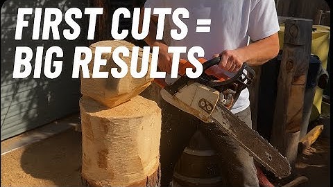 How to Chainsaw Carve a Bear Head – Easy Step-by-Step with STIHL MS 170