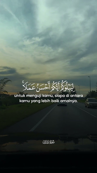 Baca Surah Al Mulk Setiap Malam | ALLAH Jauhkan Daripada Azab Kubur
