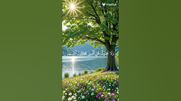 🌹واستغفر الله ان الله كان غفورا رحيما تلاوة هادئه تريح القلوب ياسر الدوسري 🌹