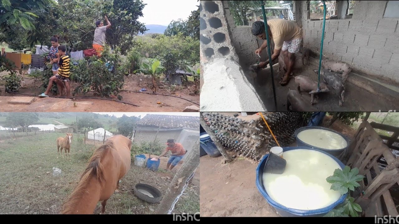 OLHA AONDE MAE SUBIU ELA TEM CORAGEM 