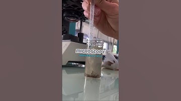 microscope 🔬 #science #medlab #laboratory #scientificjourney #lab #biotechnology #microscope #shorts