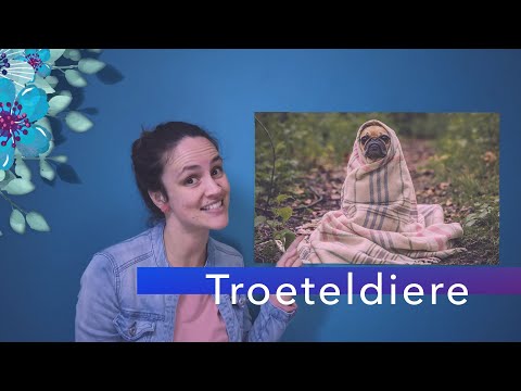 Video: Nuwejaar En Troeteldiere: Wat Kan Troeteldiere Benadeel?