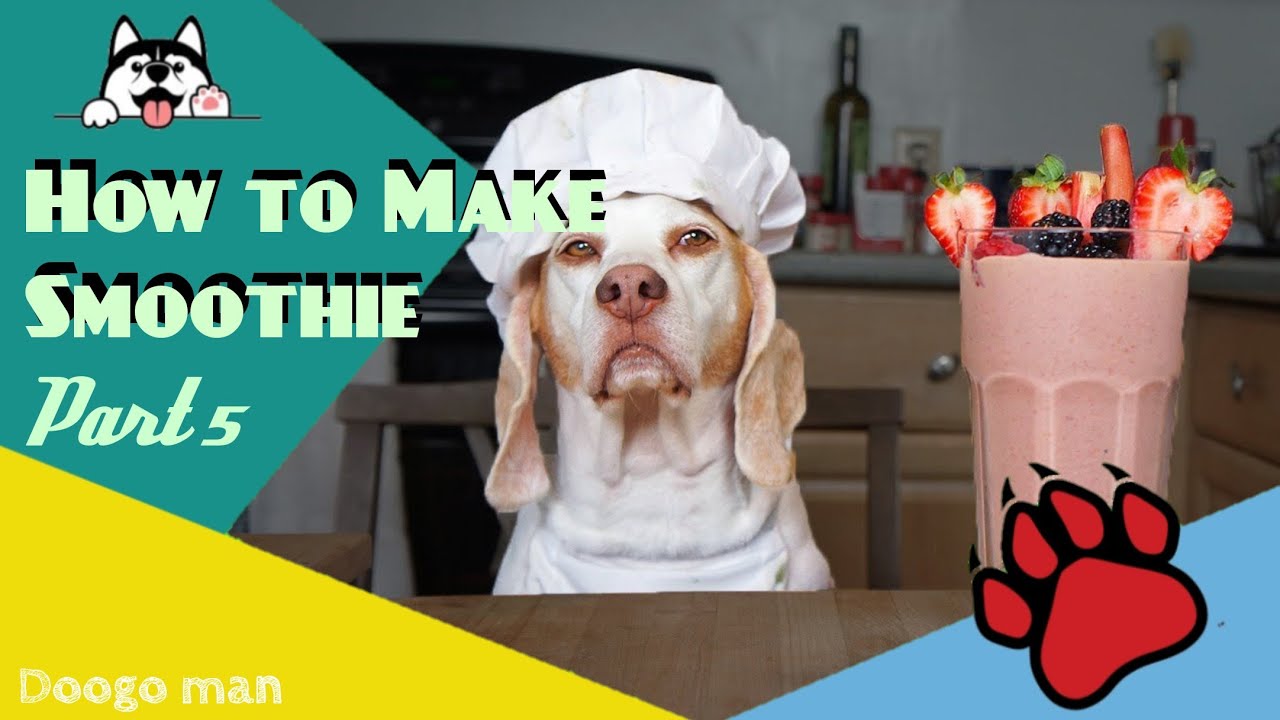 Dog Make Smoothie [Tutorial] YouTube