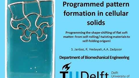 Programmed pattern formation in cellular solids