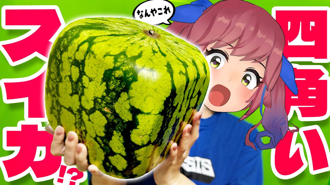 What does a square watermelon taste like? - YouTube