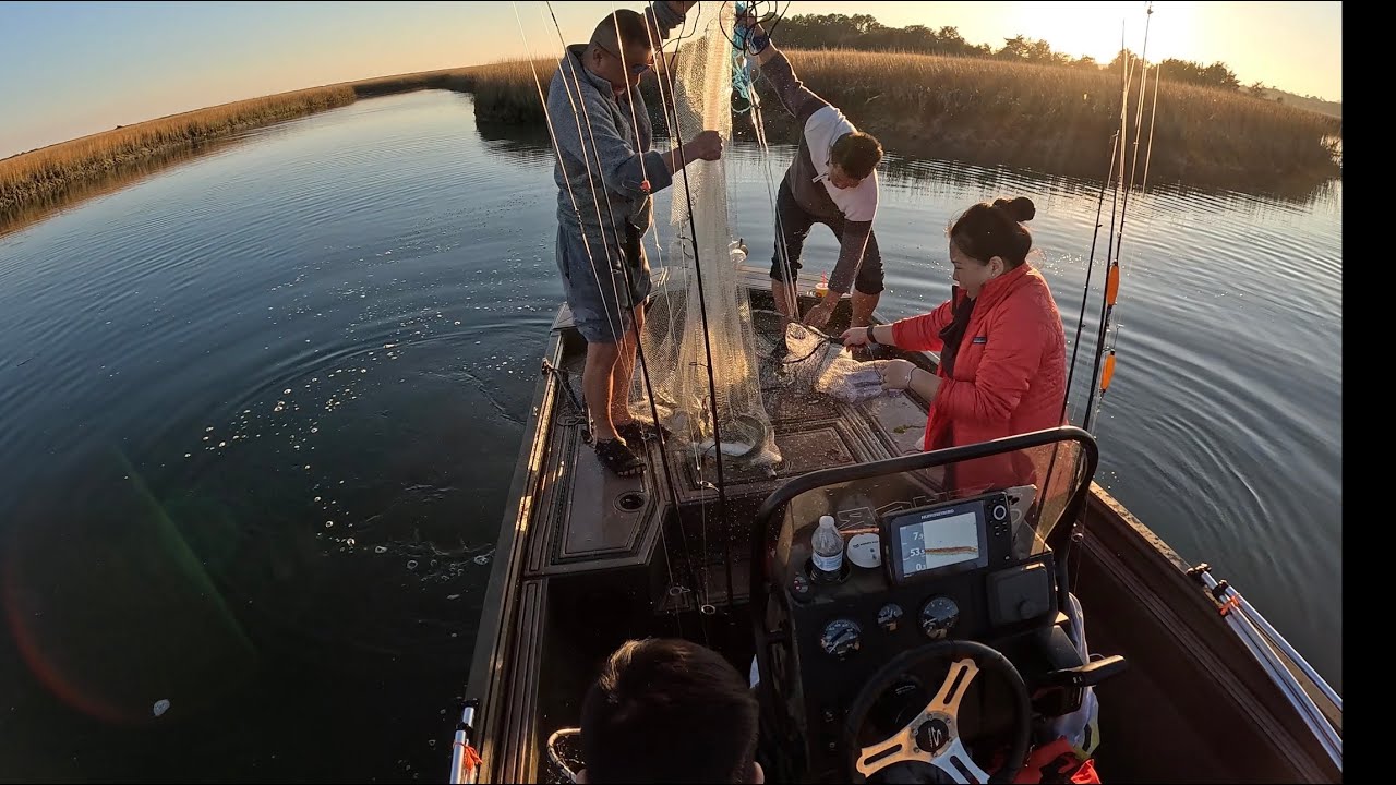 Chài cá đối về làm mồi nhậu với bạn đến từ Cali,North Carolina Mỹ.🐠🐟🎣💪👌