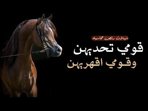 شيلة حماسية قومي تحديهن و قونذ اقهريهن شيلات عز السعود حماسية رقص 2024 