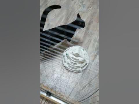 Меццо-сопрано-Дарина - YouTube