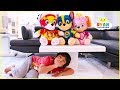 Ryan Hide and Seek from Paw Patrol Mighty Pups Toys!!!