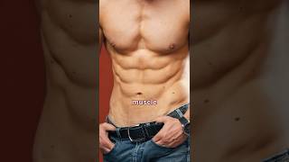 6 Pack Muscle Anatomy