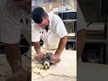 Making Donuts: Doughnut Shop Baker Cuts Dough with a Donut Cutter