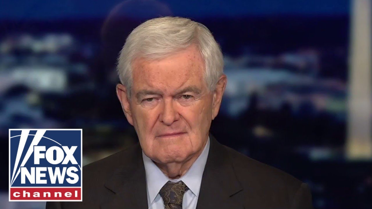 ⁣Gingrich accuses Biden administration of 'rejecting' reality