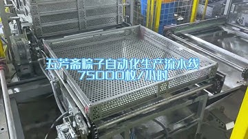 SUMPOT Full Automatic Retort Pouch Loading Unloading Line for rice dumplings  2022