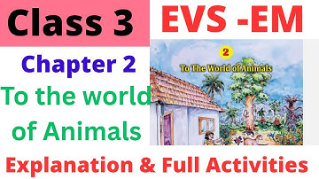 Class 3 EVS EM chapter 2 To the world of Animals explanation and full Activities #class3 #class3evs