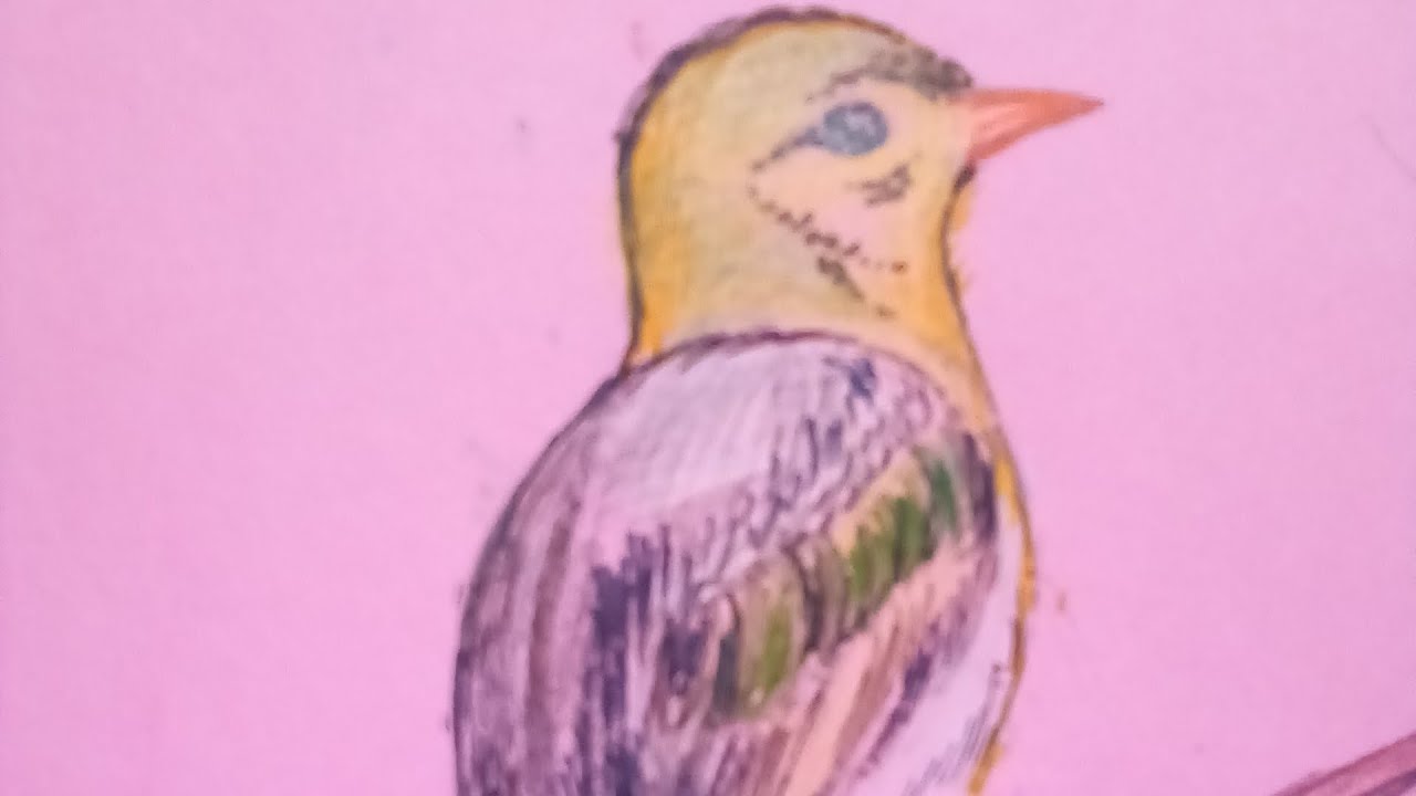 birds drawing YouTube