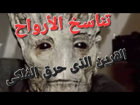 لقاء الجمعة