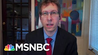 Moderna CMO On Peer Review Process For New Covid-19 Vaccine | Ayman Mohyeldin | MSNBC