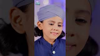 Status 04 - Milad Nabi ﷺ Ka Aaya Hai - Sahil Raza Qadri