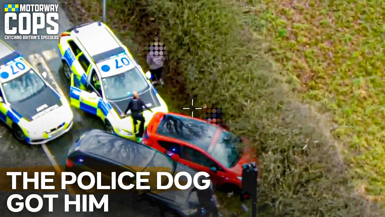 Police Dog Takes Down Driver After Wild Pursuit | Motorway Cops - YouTube