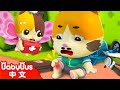 去小和 Mp3 Mp4 Free download