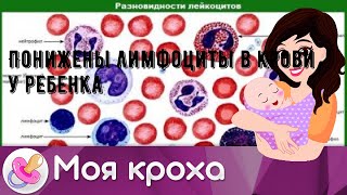 Понижены лимфоциты в крови у ребенка