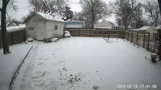 Snowfall Timelapse 2-16-2023