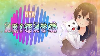 Chicas Kawai Virales Tik Tok Nya Arigato