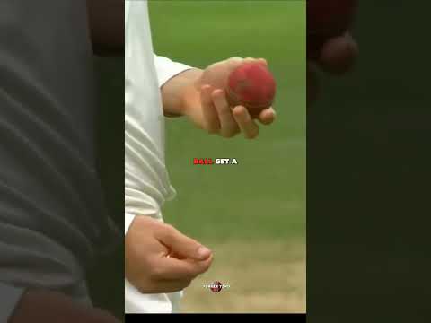 Darkest day of Australian cricket team ll Yorker yard