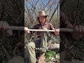 Green wood short bow, part 1 #survival #archery #outdoorskills #primitiveskills #bushcraft