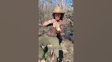 Green wood short bow, part 1 #survival #archery #outdoorskills #primitiveskills #bushcraft