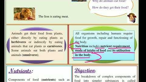 Class 7 Science Worksheet 6 English medium 5/8/2021