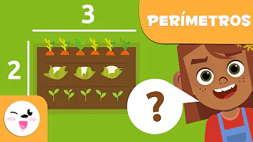 Como se calcula o perímetro 4 ano fundamental?