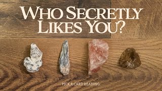 🤫😱 Who Secretly Likes You? 🥰🤐 tarot pick a card