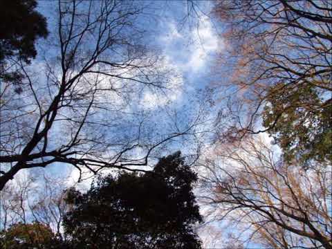【弾き語り】西藤公園 back number