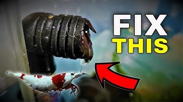 How to Unblock Double Sponge Filters | Quick Fix with Drill Trick