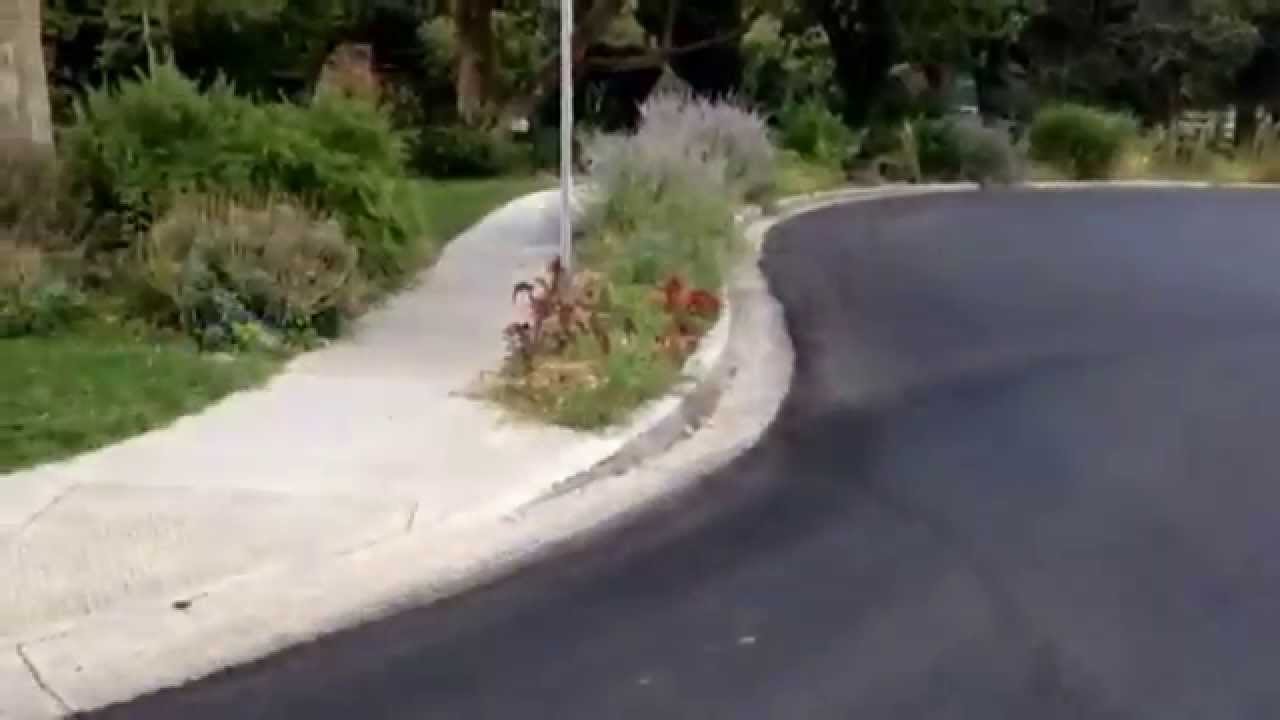 Dank downhill wiggle carts!