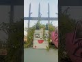 aisa hai kya Tujh Mein #homegarden #nature # #love #flowers shortvideo