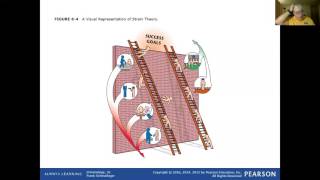 Criminology 3e Chapter 6 Lecture Part 3 of 5