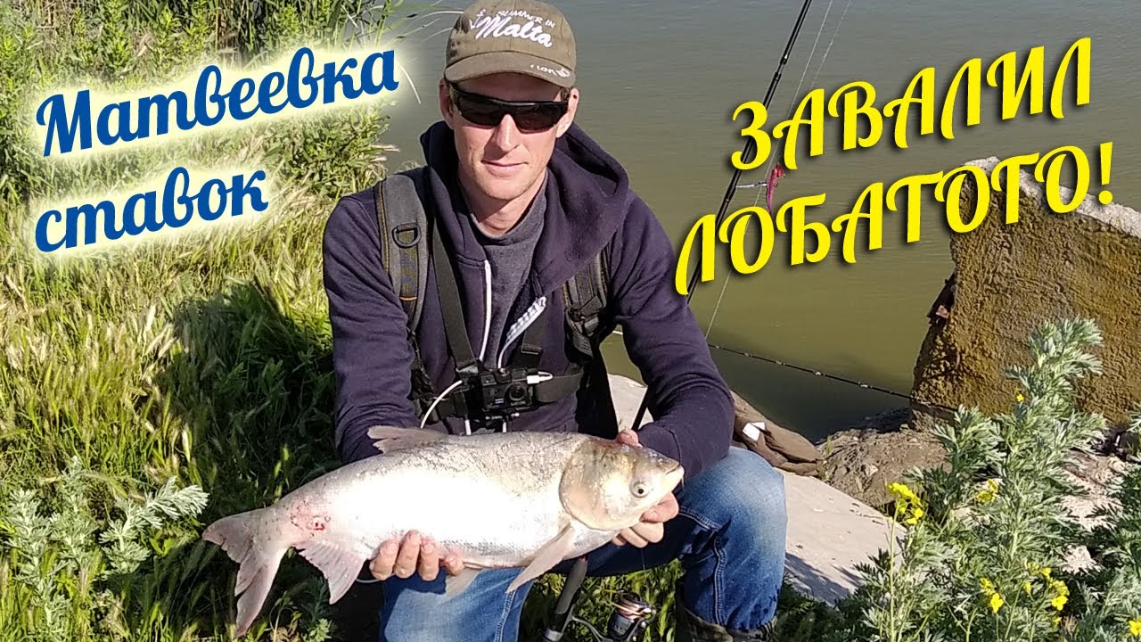 ВЛУПИЛ ТОЛСТОЛОБА НА СПИННИНГ!!! Матвеевский ставок. Рыбалка в ...