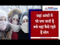 Minus -50 डिग्री Celsius में कैसे रहते हैं लोग, ये है दुनिया का सबसे Cold शहर
