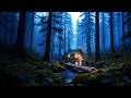 8 HOUR Pure Rain Sounds for Deep Sleep (No Music) 🌧️ Insomnia Relief