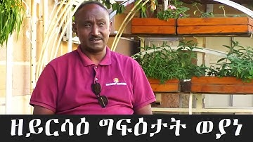EMN - ዘይርሳዕ ግፍዕታት ወያነ Eritrean Media Network