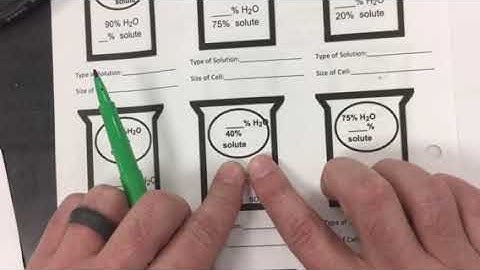 Solving osmosis problems modeling.