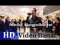 NOU 2017 Nelu Rogobete | Ardeleana Nunta Sandu &amp; Andreea Full HD 4