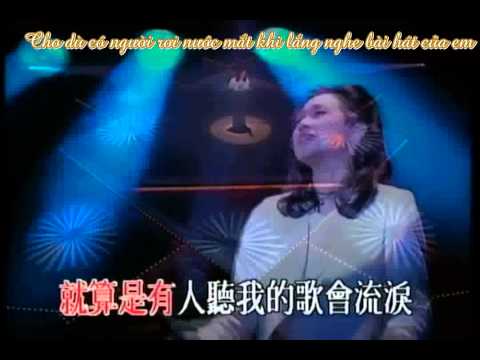 [vietsub] Không quan tâm em làm ai - Lâm Ức Liên / 不必在乎我是谁 - 林忆莲