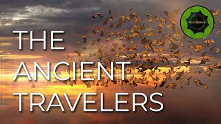 The Ancient Travelers