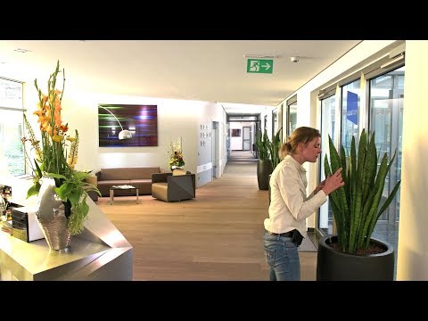 Video: Blumen Aus Der Luft - Alternative Ansicht