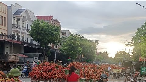 chợ vải thiều truyền thống Lục Ngạn Bắc Giang /// Lanh Lục Ngạn