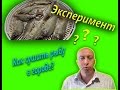 Сушим рыбу в сушилке для овощей эксперимент